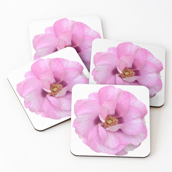 Artikelvorschau, Rosa und lila Rosenblume Stillleben Blumenfotografie entworfen und verkauft von CottoVerdi.