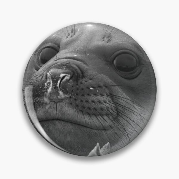 Item preview, Angel Eyes  ~  Female Southern Elephant Seal designed and sold by Robert Elliott.