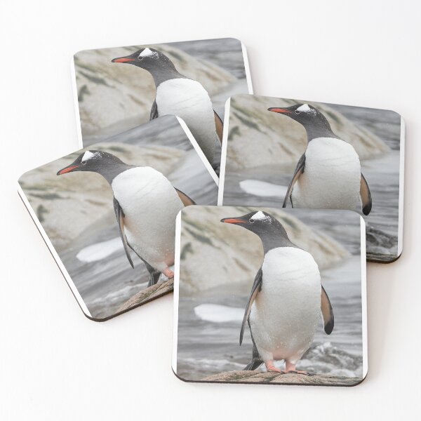 Item preview, Gentoo Penguin designed and sold by Robert Elliott.