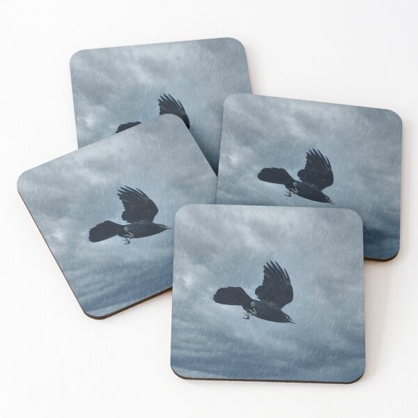 Item preview, Dark Beak takes Flight designed and sold by billduncan.