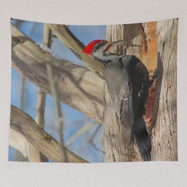 Item preview, Pileated Woodpecker designed and sold by Andrea Swiedler.