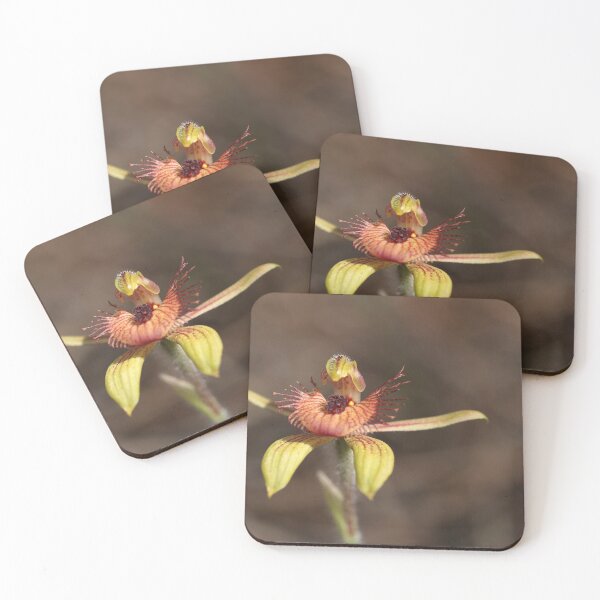 Item preview, Wild Orchid Macro designed and sold by Michaela Perryman.
