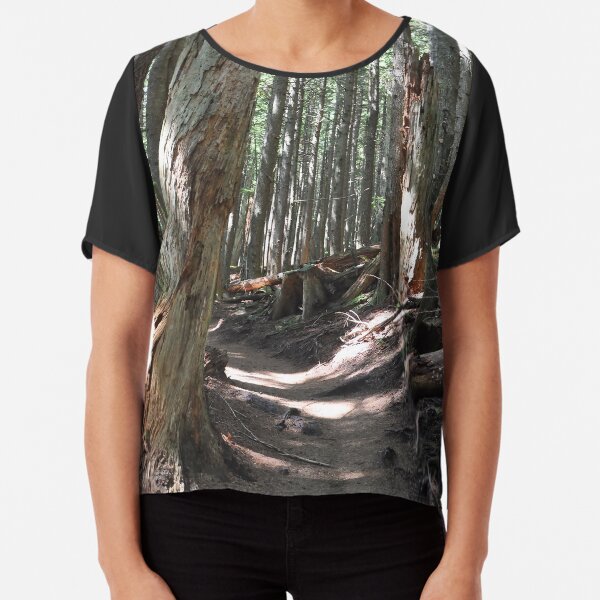 He Walks With You Always Chiffon Top