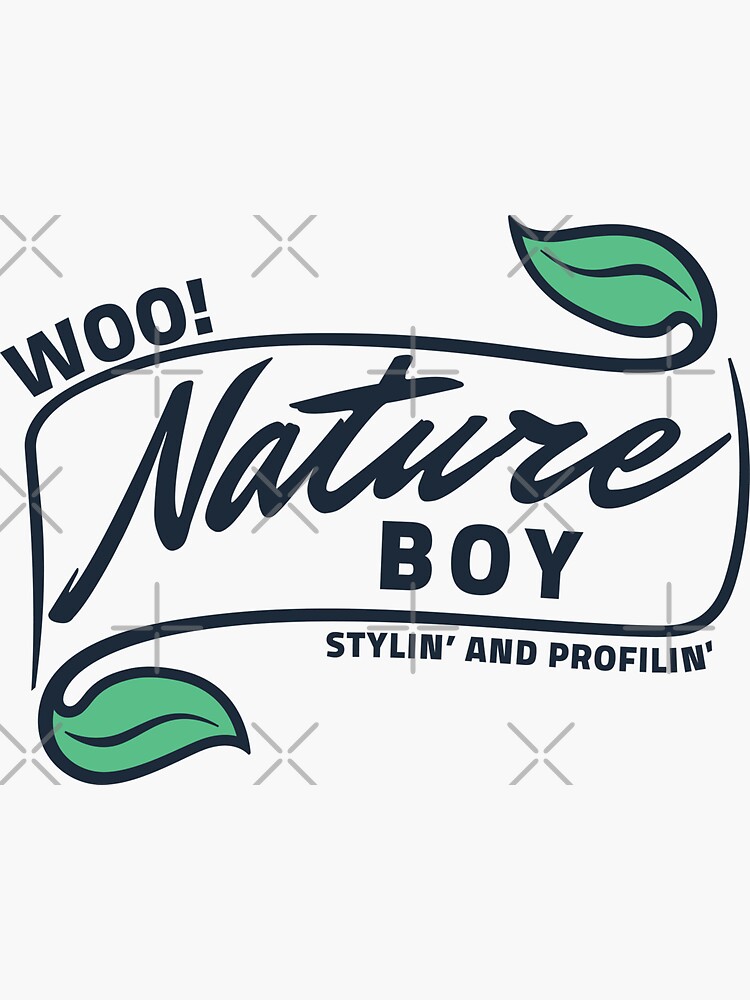 Nature Boy Ric Flair Sticker for Sale by NoizeandLight