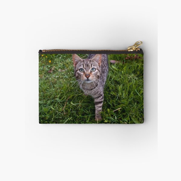 Item preview, llb cat designed and sold by pcfyi.