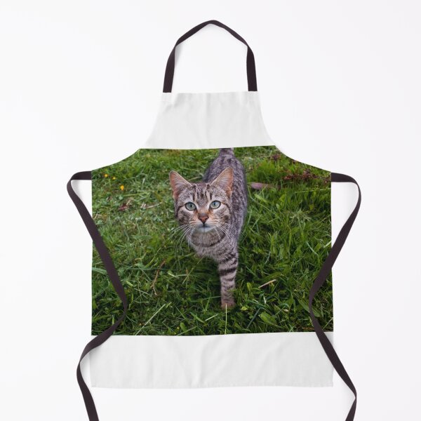 Item preview, llb cat designed and sold by pcfyi.