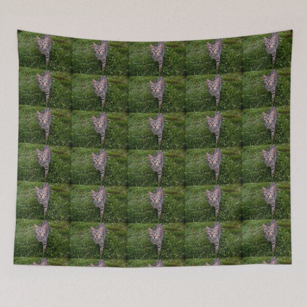 Item preview, llb cat designed and sold by pcfyi.