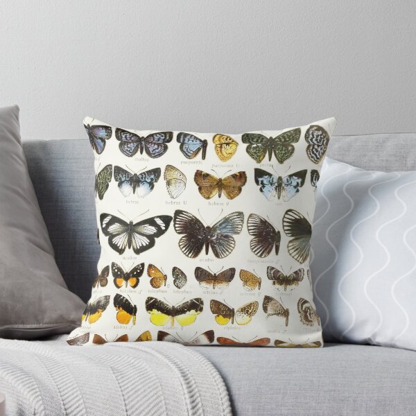Item preview, Vintage Butterflies Illustration from 1846 designed and sold by VintageAndy.