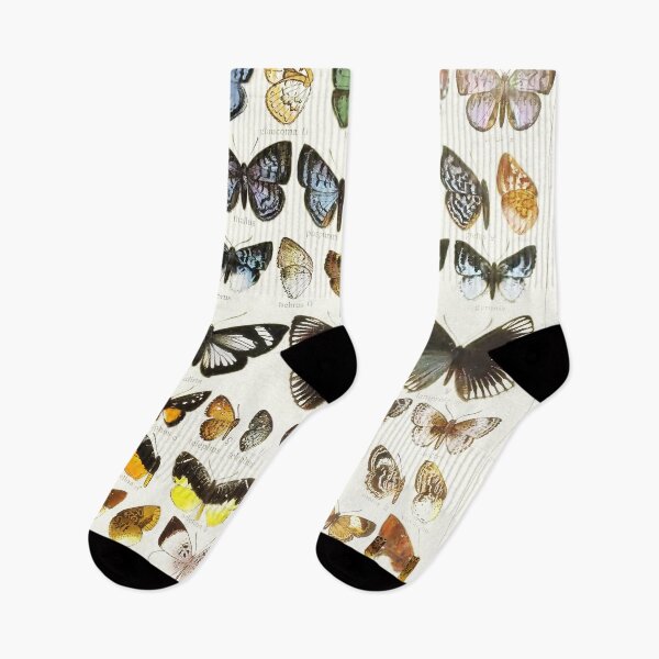 Item preview, Vintage Butterflies Illustration from 1846 designed and sold by VintageAndy.