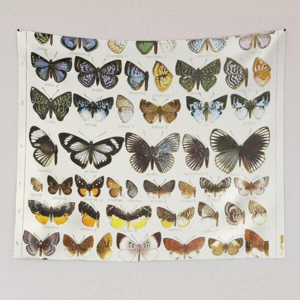 Item preview, Vintage Butterflies Illustration from 1846 designed and sold by VintageAndy.
