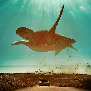 Artwork thumbnail, The RACE by Pauly Marsden
