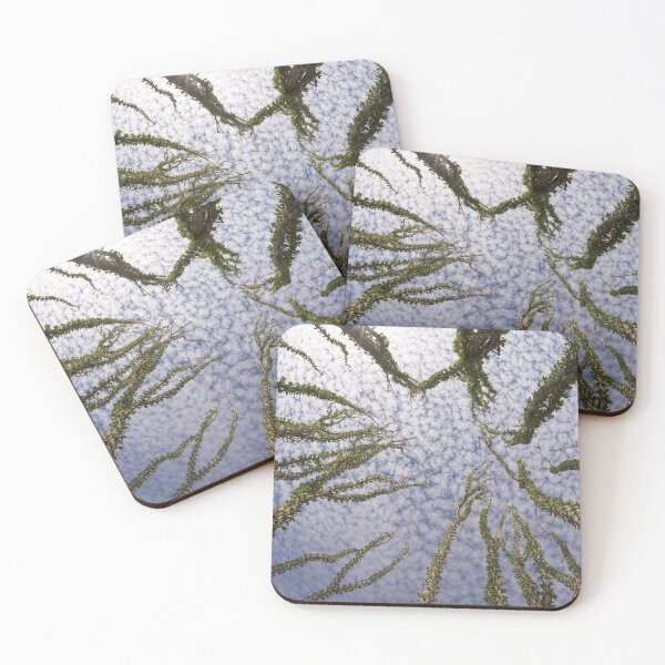 Item preview, Arizona - Under the clouds, wild cactus designed and sold by August-E.