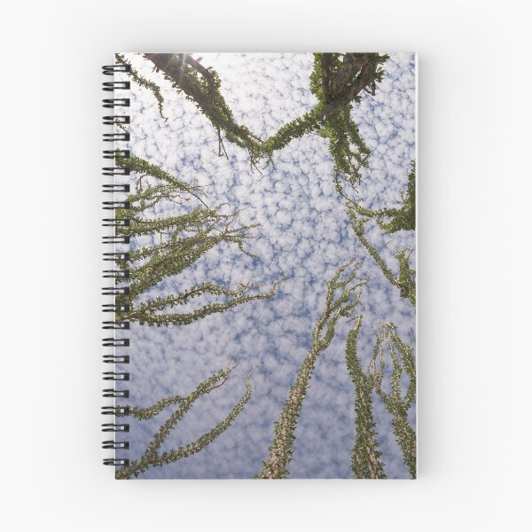 Item preview, Arizona - Under the clouds, wild cactus designed and sold by August-E.