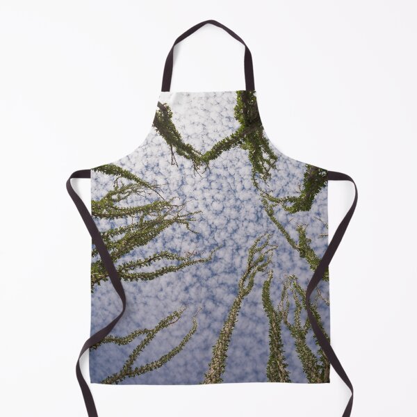 Item preview, Arizona - Under the clouds, wild cactus designed and sold by August-E.