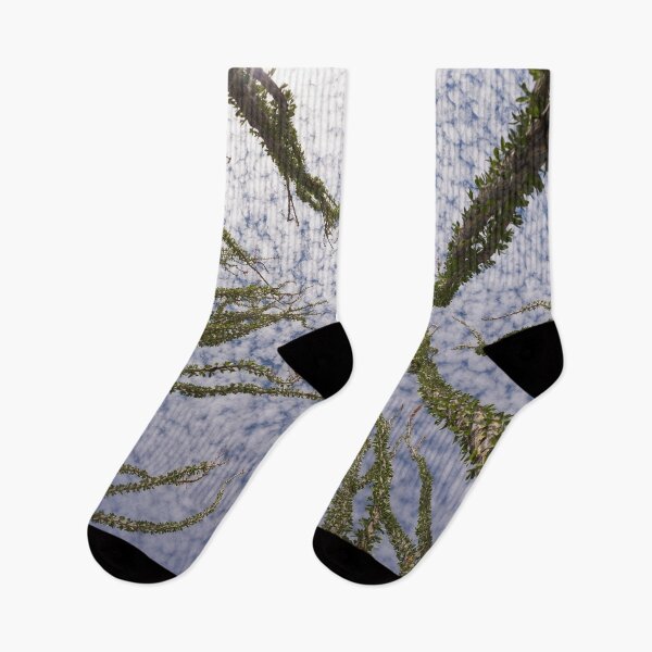Item preview, Arizona - Under the clouds, wild cactus designed and sold by August-E.