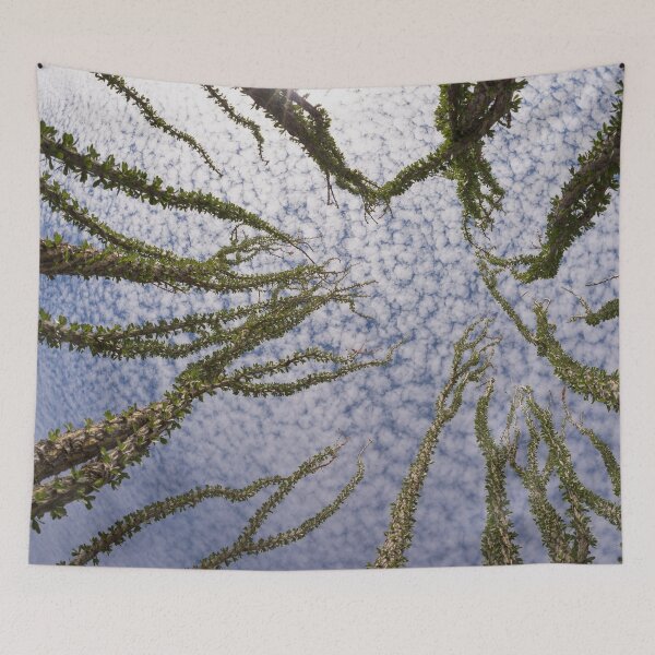 Item preview, Arizona - Under the clouds, wild cactus designed and sold by August-E.