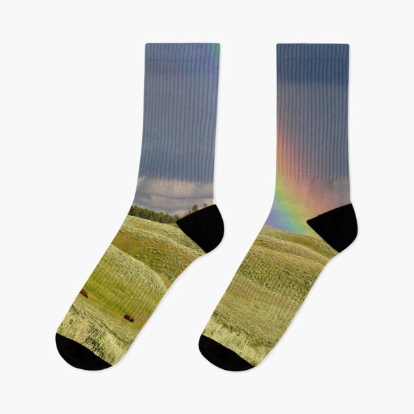 Artikelvorschau, Rainbow sky green field entworfen und verkauft von August-E.