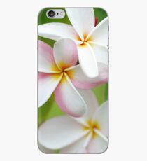 Plumeria Pink White Frangipani Tropical Hawaiian Flower Floral Fine Art iPhone Case