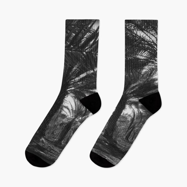 Item preview, Jardín de palmeras en blanco y negro de Coachella designed and sold by August-E.