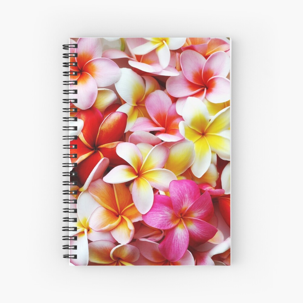 Aperçu de l'œuvre Cahier à spirale créée et vendue par SilverSpiral.