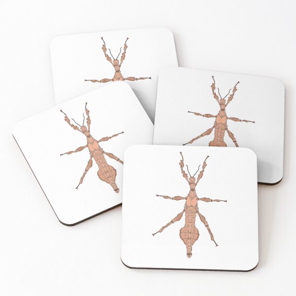 Item preview, Extatosoma tiaratum designed and sold by Artbychb.