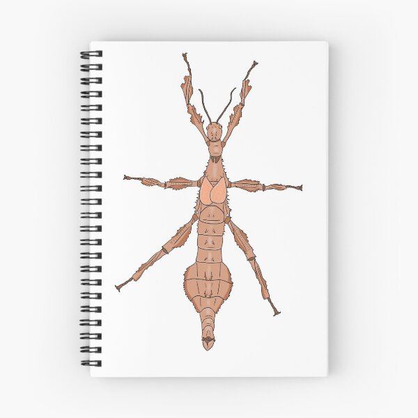 Item preview, Extatosoma tiaratum designed and sold by Artbychb.