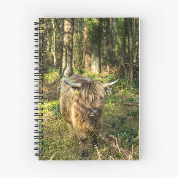Item preview, If You Go Down in the Woods Today designed and sold by David  Rowlatt.