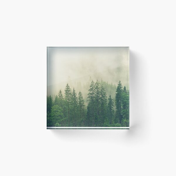 Aperçu de l'œuvre Nostalgic rainforest pines, dreamy fog créée et vendue par August-E.