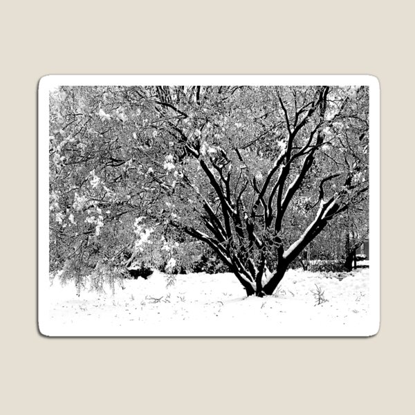 Winter Tree Magnet