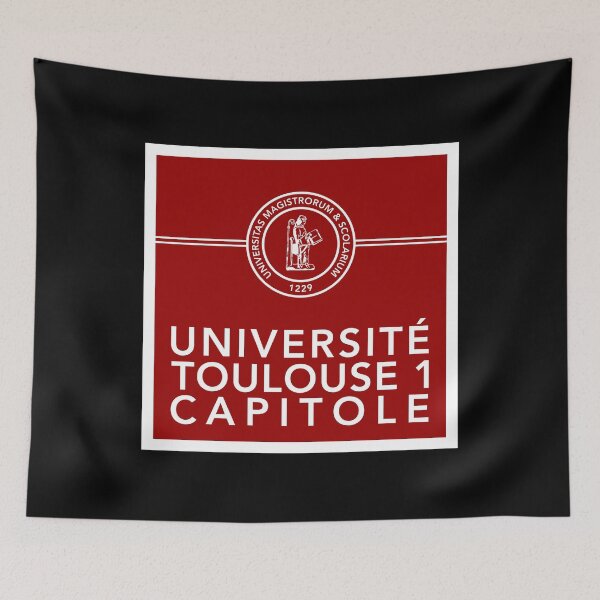 Item preview, Toulouse 1 University Capitole designed and sold by noeakazama.