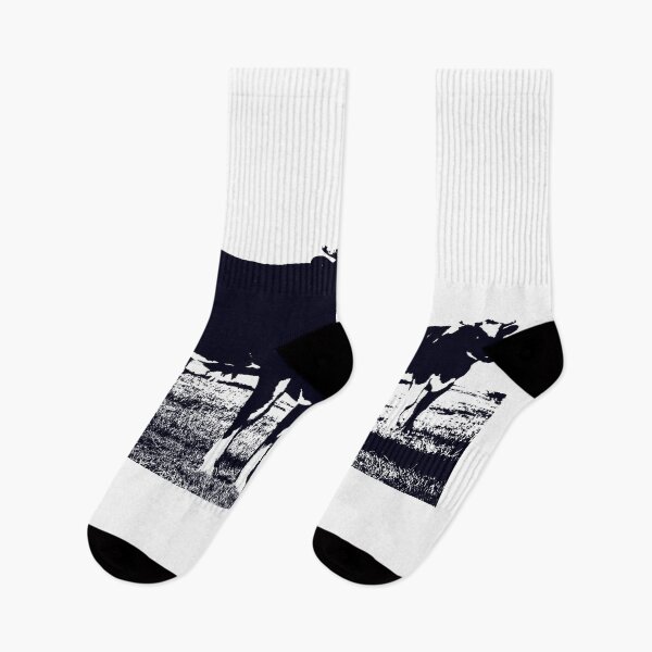 Item preview, Black and white Friesian cows in field in Southland New Zealand. designed and sold by Brian Scantlebury.