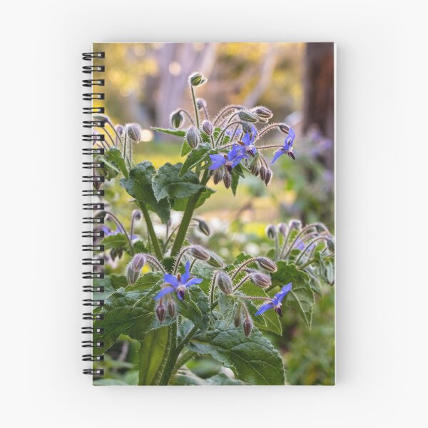 Item preview, Purple Flowering Borage in Sunlit Gardens designed and sold by FigTreeMagick.
