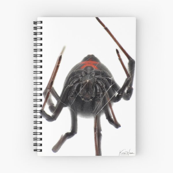 Item preview, Black Widow  designed and sold by All Bugs Go to Kevin.