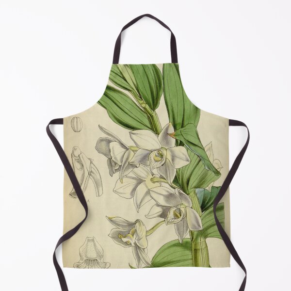 Item preview, Dendrobium aqueum designed and sold by EsotericBotanic.