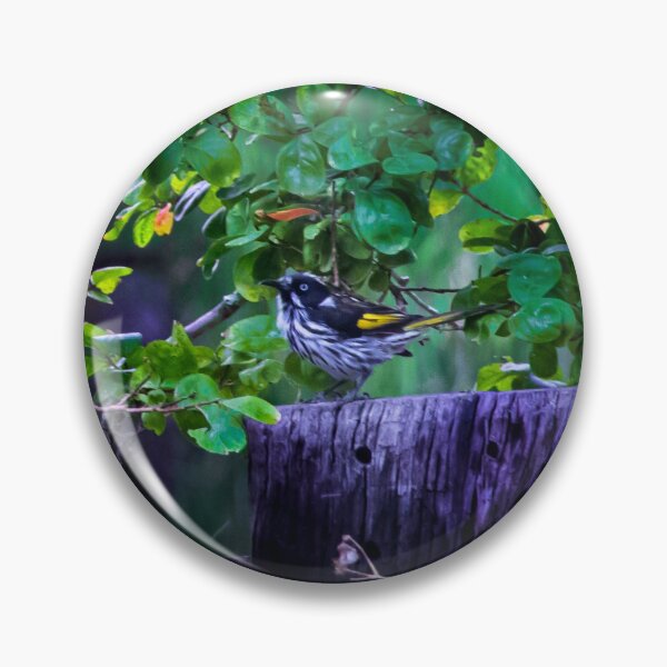 Item preview, New Holland Honey Eater Perched on a Post designed and sold by FigTreeMagick.