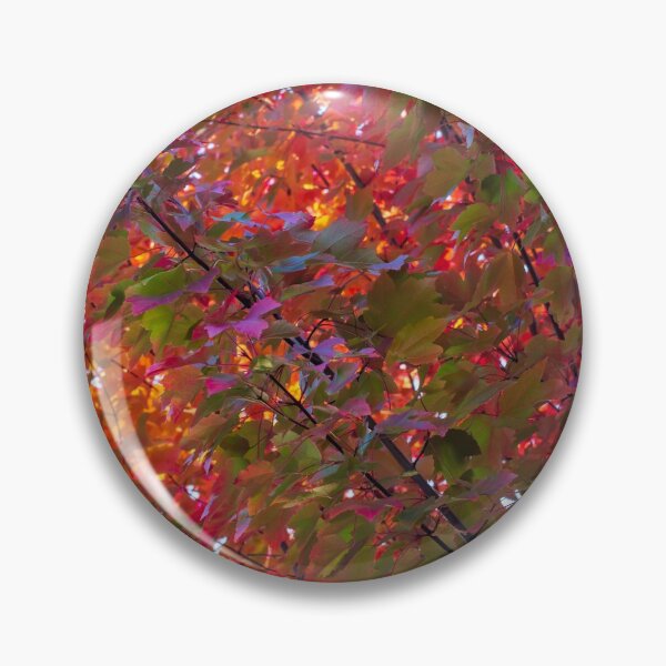 Item preview, Sun Painted Maple Leaves designed and sold by FigTreeMagick.