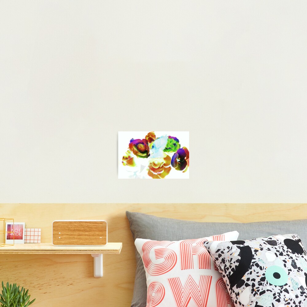 Item preview, Photographic Print designed and sold by BOLLA67.