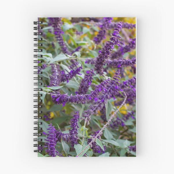 Item preview, Regal Purple Flowering Salvia designed and sold by FigTreeMagick.