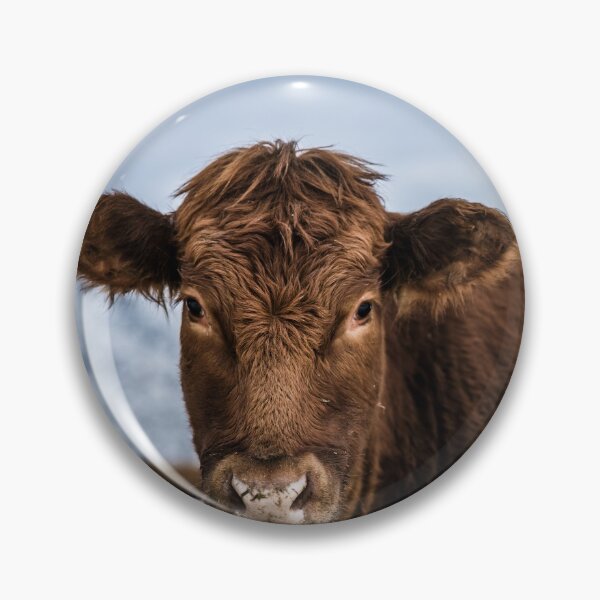 Aperçu de l'œuvre Vache brune créée et vendue par viknitov.