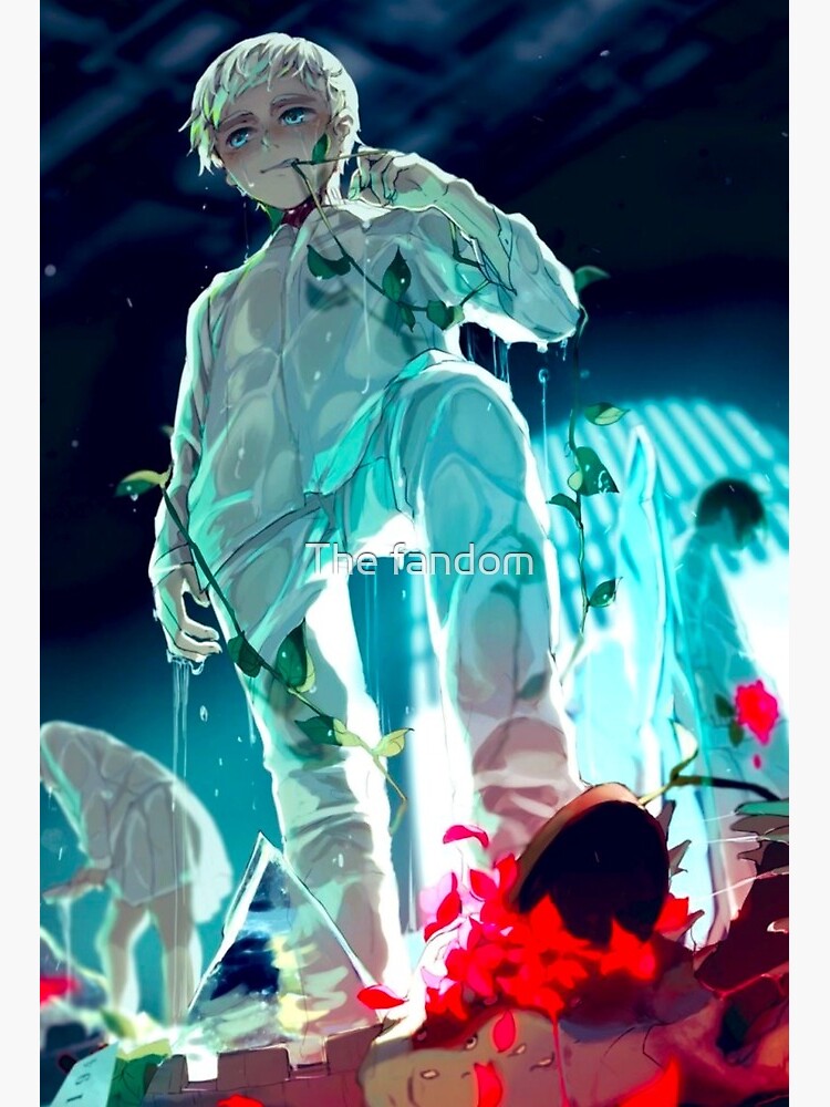 Norman, anime the promised neverland  Art Board Print for Sale by The  fandom