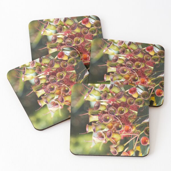 Item preview, Eucalyptus Corymbia Ficifolia Faded Flowers designed and sold by Joy Watson - Natural Light Photography .