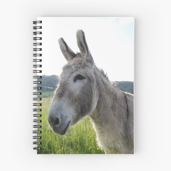 Item preview, Adorable grey donkeys in the high grass meadow	 designed and sold by EstelleRossetti.