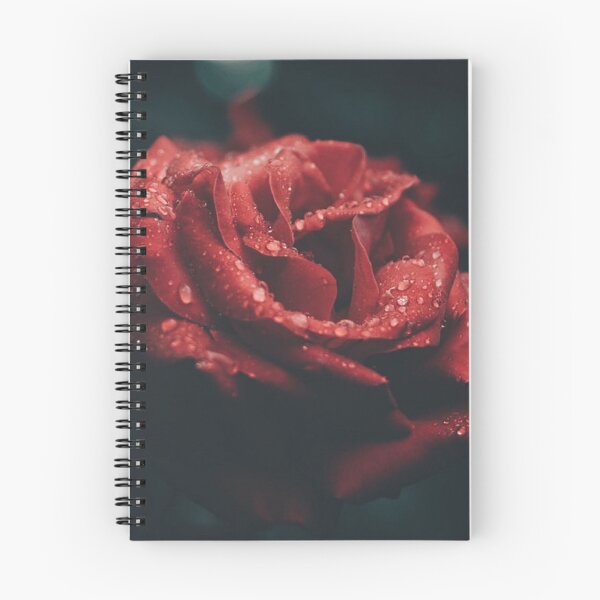 Item preview, Red rose designed and sold by Isha Iyer.