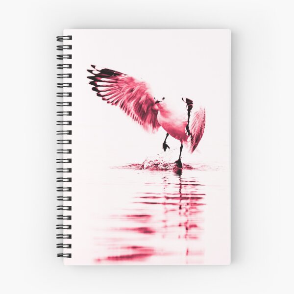 Item preview, Seagull skipping across water in monochrome red on white in illustrative style designed and sold by Brian Scantlebury.