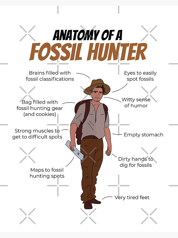 Fossil Hunting Tools Art Print