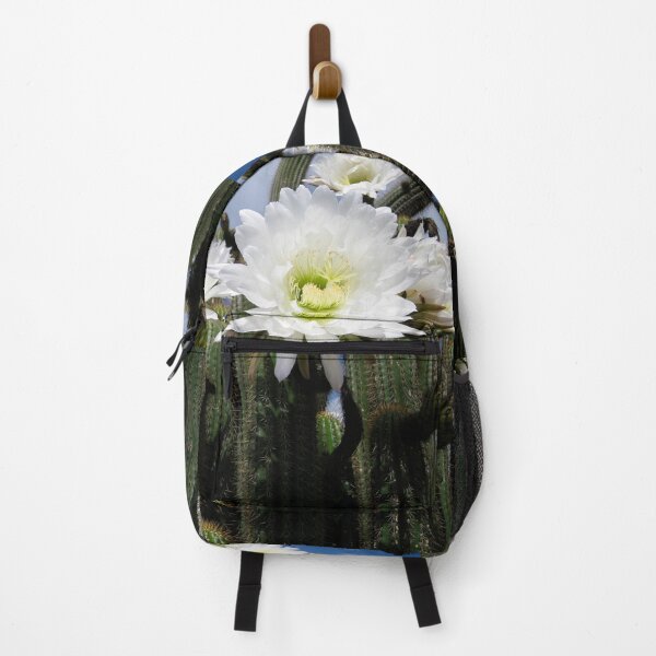 Item preview, Cacti Flowers at Mount Gambier South Australia designed and sold by Heatherian.