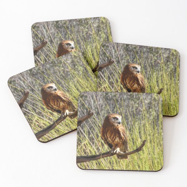 Item preview, Nixone Boobook Owl designed and sold by SACRED NATURE DESIGNS.