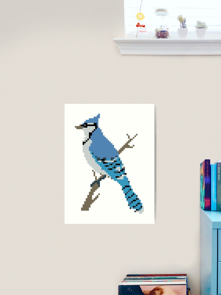 Blue Jay Drawings for Sale - Pixels