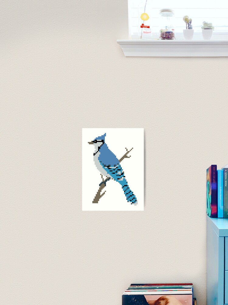 Blue Jay Drawings for Sale - Pixels Merch