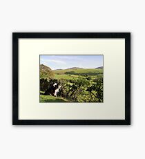 Magnificence. Framed Print